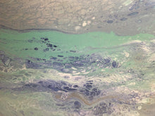 Load image into Gallery viewer, CANVAS Prints Now Available!