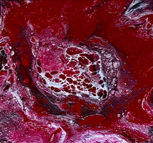 Load image into Gallery viewer, CANVAS Prints Now Available!