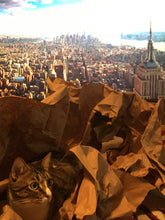 Load image into Gallery viewer, Photographic Prints of any size, any piece